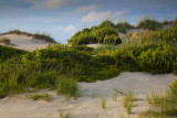 Evening Light- Pea Island