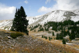 Fall In The High Country