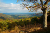 Saddle Overlook- Blue Ridge Parkway