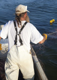 Feeding Out The Nets