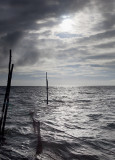 Arriving At The Pound Nets-Early Morning