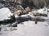 Winter Stream: Cascades, Giles County
