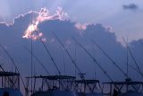 Evening Masts