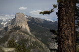 View Of Half Dome