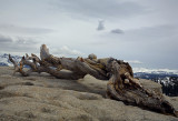 Left On Sentinel Dome