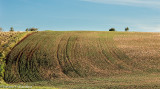 Field