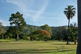 Hope Gardens