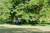Prayer Group III