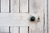Shed Door