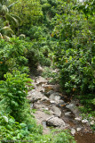 Sulphur River, St Thomas