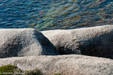 Rock
