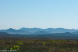 Mountains II - Cape of Good Hope Nature Reserve