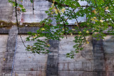 DSC03478.jpg