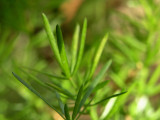 P8128744.jpg