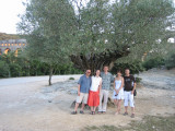 Us, a 1000 year old olive tree, and Pont du Gard