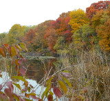 Fall Scence At Roebling Park