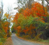 Entrance To Roebling Park