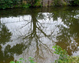 Lambertville Canal Reflection