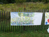 Impromtu Painting of the Meadow