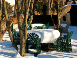 Snowy Tea Garden