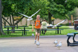 A Boy and His Friends