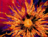 detail of fire givers plasma ball