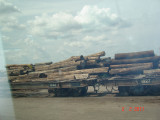 DSC03616.JPG
