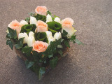 centerpieces