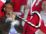 CandyCaneHorn.jpg