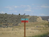 Wild Horse Statue