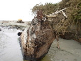 Front of ShipWreck