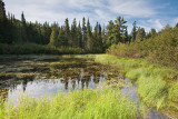 2T1U6039.jpg - Algonquin Provincial Park, ON, Canada