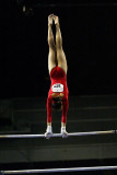 130041_gymnastics.jpg