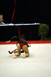 180573_gymnastics.jpg