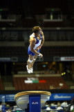 230039ca_gymnastics.jpg