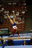 300042ca_gymnastics.jpg