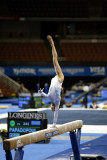 330080ca_gymnastics.jpg