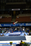 360254ca_gymnastics.jpg