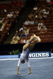 410085ca_gymnastics.jpg