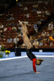 410310ca_gymnastics.jpg