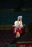 110074ny_gymnastics.jpg