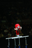 160017ny_gymnastics.jpg