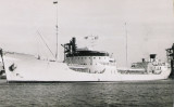 Bergechief 1949.jpg