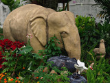 Elephants in a garden