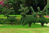 Topiary deer