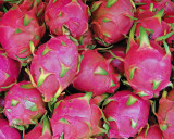 Dragon fruit (pitahaya), exterior