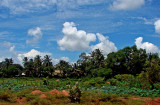 Landscape with clouds