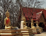 Buddha images in a row