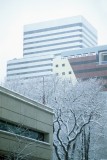 Downtown (PacWest Center, Portland Bldg) [35mm]