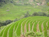 terraces.jpg